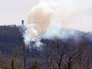 Brush fire in Lower Alsace