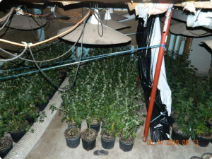 Assist to Amity on structure fire