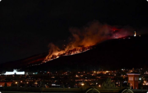 Assist to RFD on brush fire
